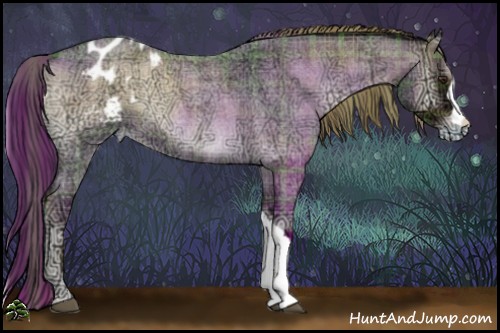 Horse Color:Plaid  Liver Red Onyx Ice Roan Appaloosa 
