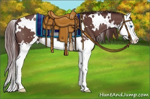 Horse Color:White Spotted Chocolate Smoky Black Splash 