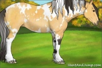 Horse Color:White Spotted Buckskin
