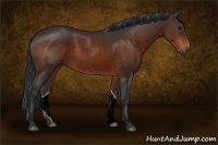 Horse Color:Brown 