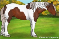 Horse Color:Silver Brown Tobiano 