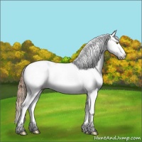 Horse Color:Bay Pearl Dun Sabino Splash 