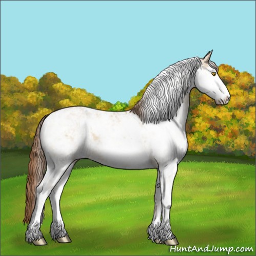 Horse Color:Bay Pearl Dun Sabino