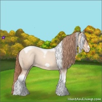 Horse Color:Gold Champagne Roan Dun Splash Tobiano Frame Varnish Rabicano 