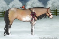 Horse Color:Bay Dun Sabino 