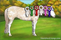 Horse Color:Bay Pearl Dun Sabino Splash Rabicano 