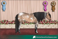Horse Color:White Spotted Brown Dun Rabicano 