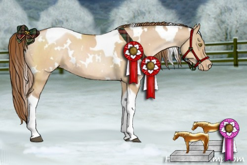 Horse Color:White Spotted Bay Pearl Dun Tobiano Rabicano