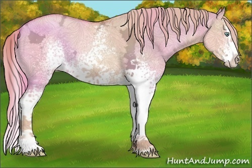 Horse Color:White Spotted Gold Champagne Ice Dun Splash 