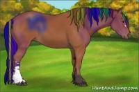 Horse Color:Painted Bay 