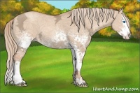 Horse Color:White Spotted Gold Champagne Ice Dun Splash 