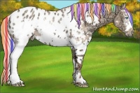 Horse Color:Painted White Spotted Silver Amber Champagne Ice Dun Sabino Splash Frame Appaloosa Rabicano 