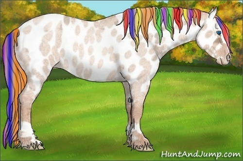 Horse Color:Painted Gold Champagne Ice Roan Dun Splash Near Leopard 