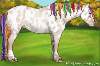 Horse Color:Painted Gold Champagne Ice Roan Dun Splash Near Leopard 