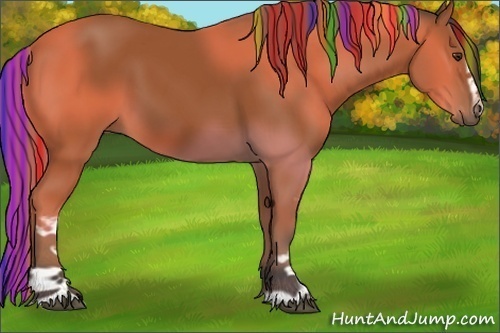 Horse Color:Painted White Spotted Bay Rabicano