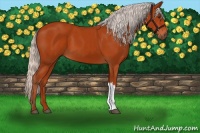 Horse Color:Silver Brown 