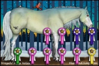 Horse Color:Watercolor Silver Brown Chinchilla Sabino
