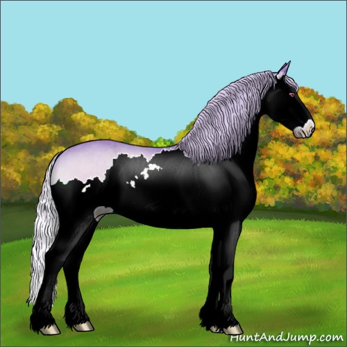Horse Color:Watercolor Silver Brown Chinchilla Onyx Sabino Splash 