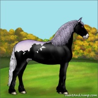 Horse Color:Watercolor Silver Brown Chinchilla Onyx Sabino Splash