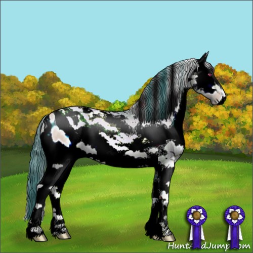 Horse Color:ERROR: UNKNOWN ANOMALY
