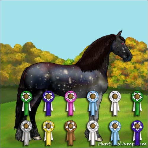 Horse Color:ERROR: UNKNOWN ANOMALY