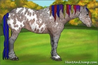 Horse Color:Painted Brown Ice Appaloosa 