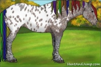 Horse Color:Painted Brown Ice Appaloosa 