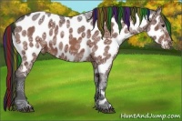 Horse Color:Painted Brown Ice Appaloosa 