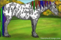 Horse Color:Painted Black Ice Appaloosa 