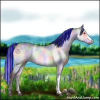 Horse Color:Painted Nacre Brown Chinchilla Dun Brindle 