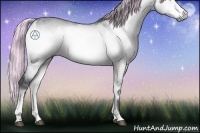 Horse Color:Painted Silver Brown Chinchilla Onyx 