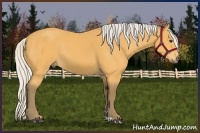 Horse Color:Silver Buckskin 