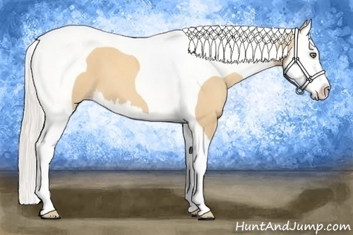Horse Color:Gold Cream Champagne Splash Tobiano