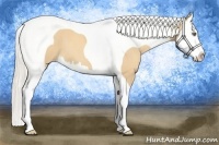 Horse Color:Gold Cream Champagne Splash Tobiano