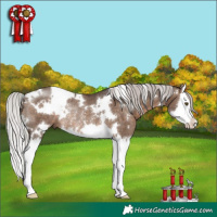Horse Color:White Spotted Silver Brown Dun Splash Rabicano Brindle 