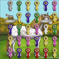 Horse Color:Painted Chocolate Grullo Onyx Sabino Splash Tobiano Appaloosa