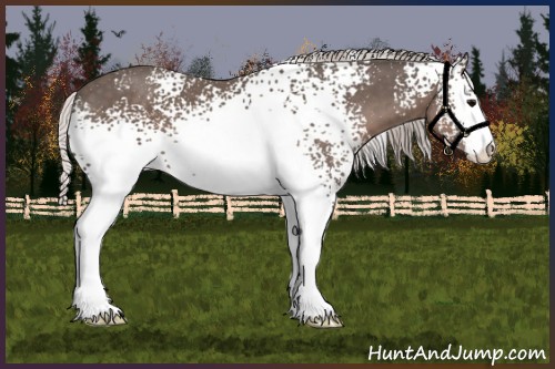 Horse Color:White Spotted Silver Black Sabino 