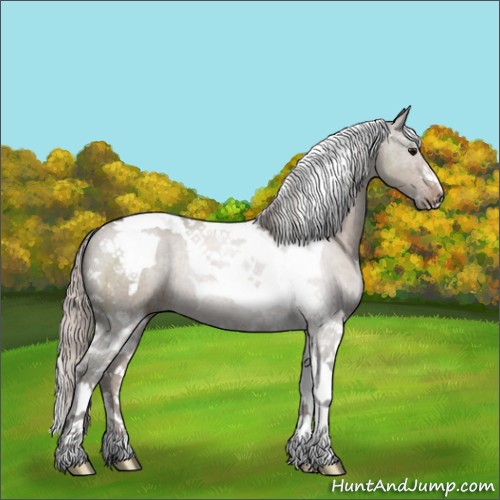 Horse Color:Silver Grullo Sabino Tobiano 