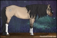 Horse Color:Bay Dun