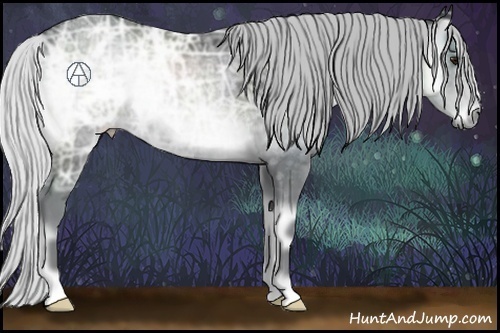 Horse Color:Silver Blue Onyx Chinchilla Ice