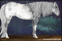 Horse Color:Silver Blue Onyx Chinchilla Ice