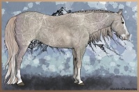 Horse Color:Silver Grullo Ice Sabino Splash 