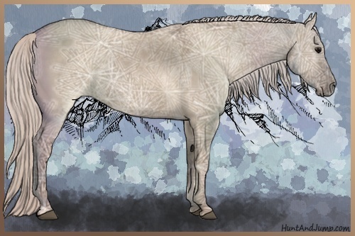 Horse Color:Silver Grullo Ice 