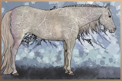 Horse Color:Silver Grullo Ice 