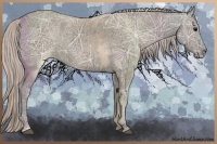 Horse Color:Silver Grullo Ice 