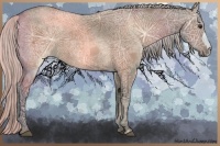 Horse Color:Silver Brown Ice Dun 