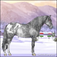 Horse Color:White Spotted Sable Champagne Chinchilla Ice Roan Onyx Blanket Rabicano 