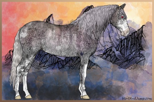 Horse Color:Silver Amber Champagne Chinchilla Ice Onyx Sabino Rabicano