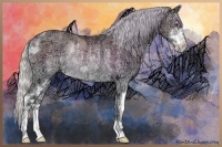 Horse Color:Silver Amber Champagne Chinchilla Ice Onyx Sabino Rabicano 