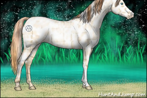 Horse Color:Plaid  Buckskin Roan Pearl Dun Appaloosa 
